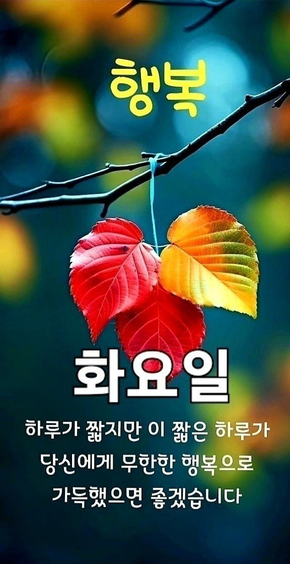 아름다운향기 이미지