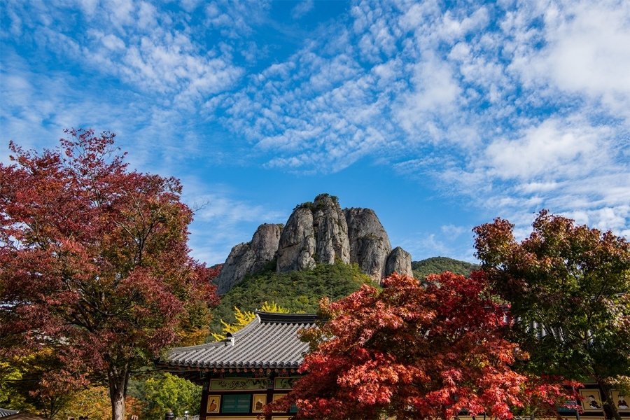 주봉산 이미지