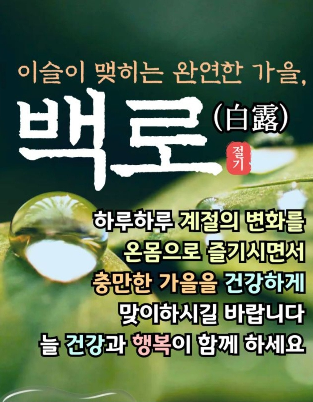 울림에향기 이미지