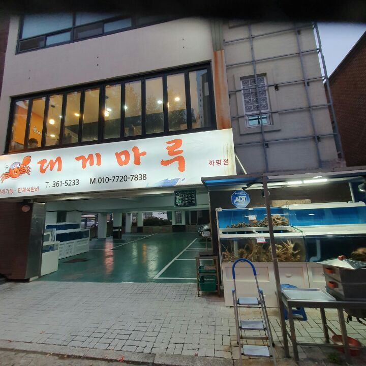 마루 이미지