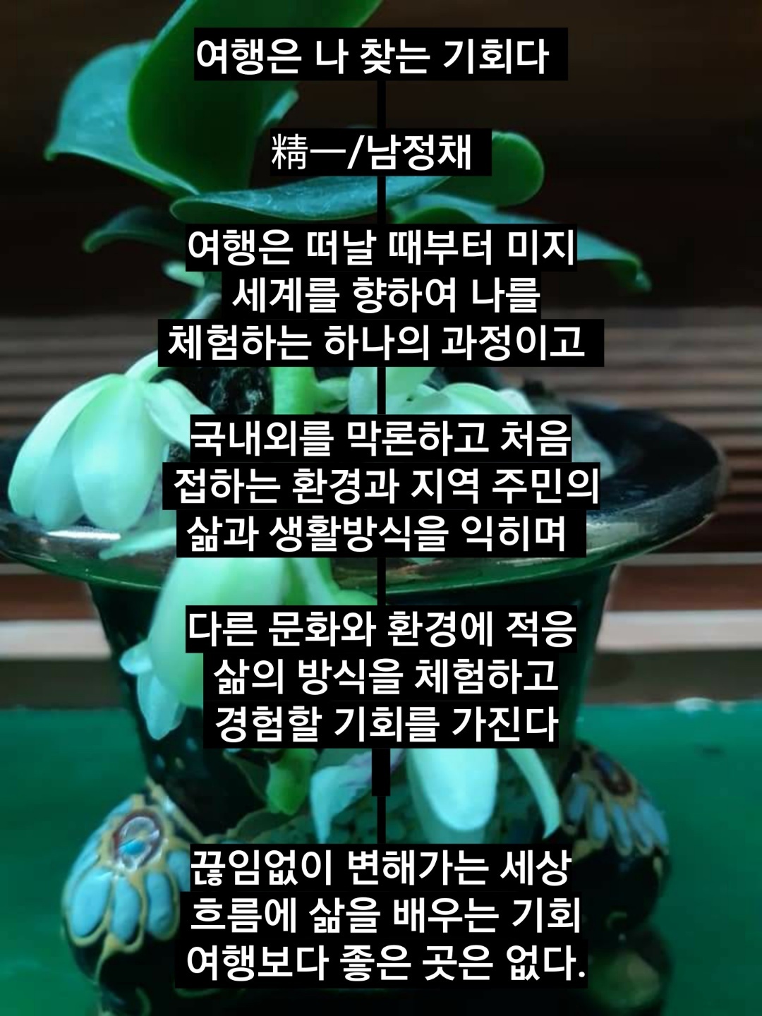 미지로여행세상 이미지