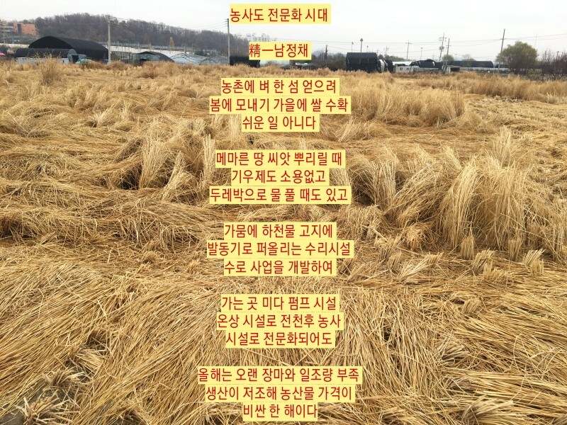 두레박농산물 이미지
