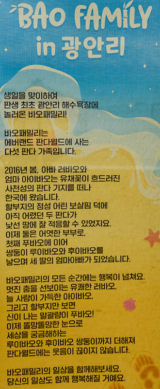 페밀리 이미지