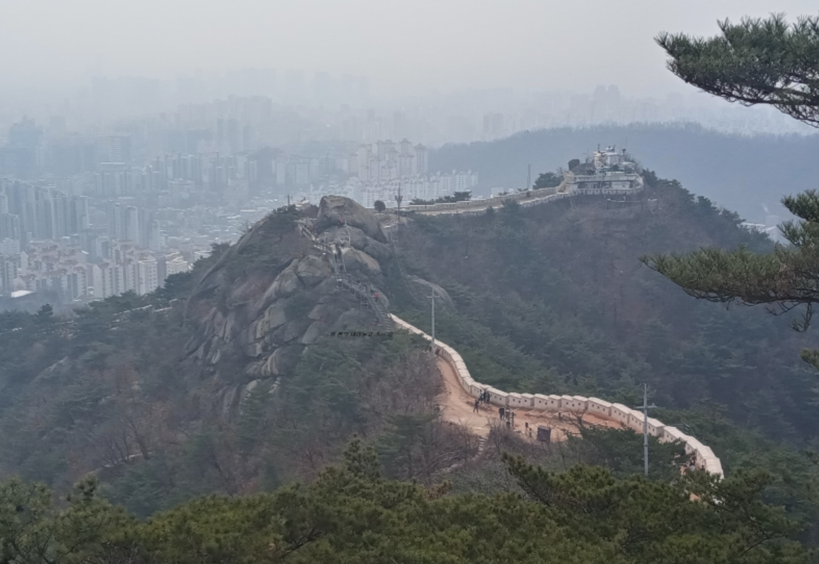 도성집 이미지