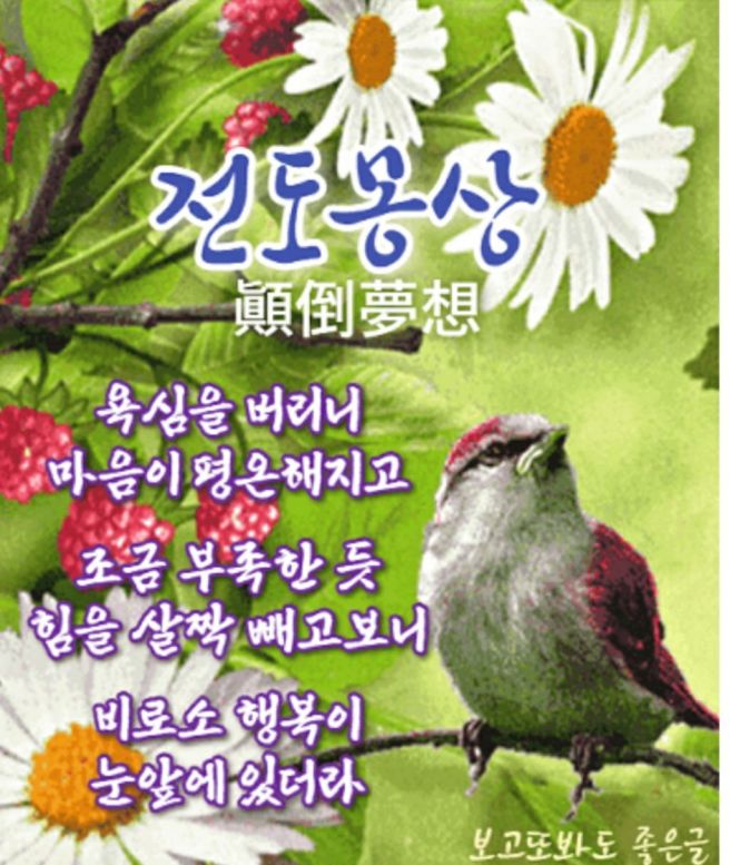 몽상 이미지