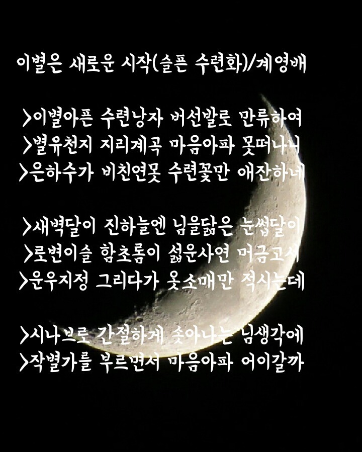 달빛향 이미지