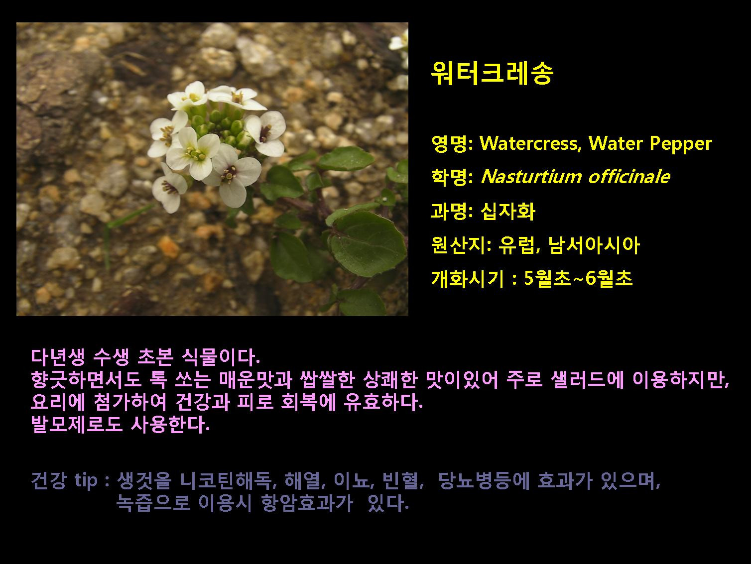 크레숑 이미지