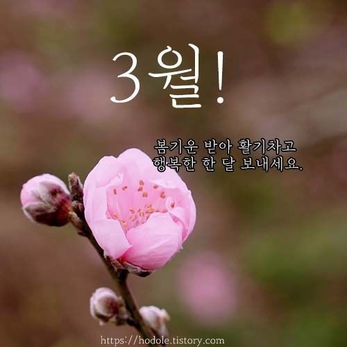 행복한3월 이미지