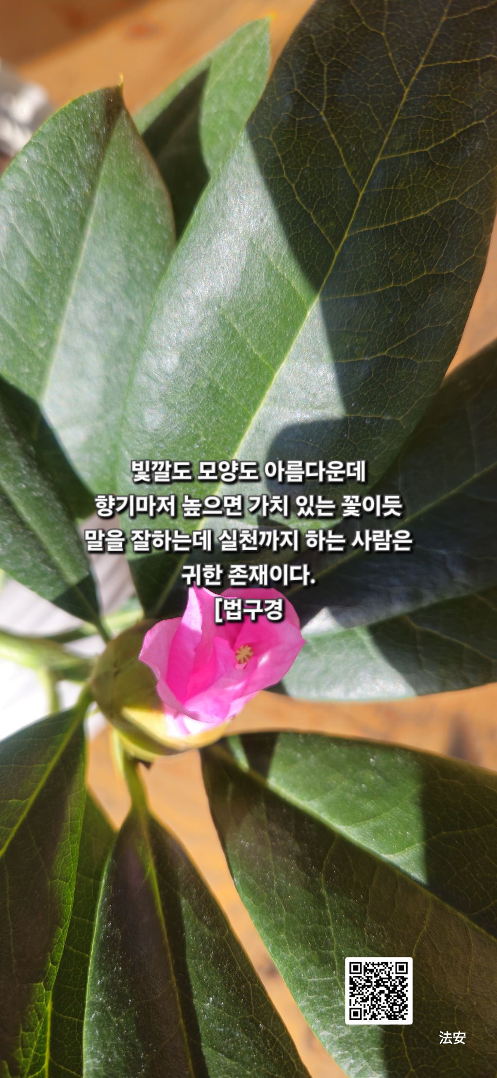 빛깔 이미지