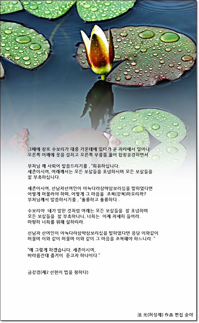 수보리 이미지