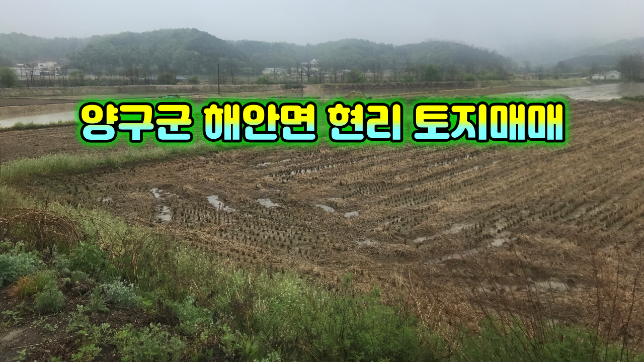 현리 이미지