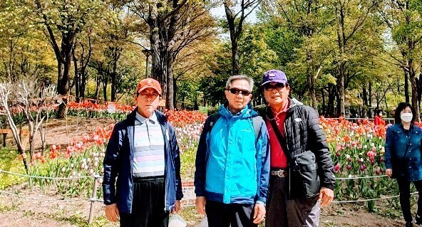 작은돌 이미지