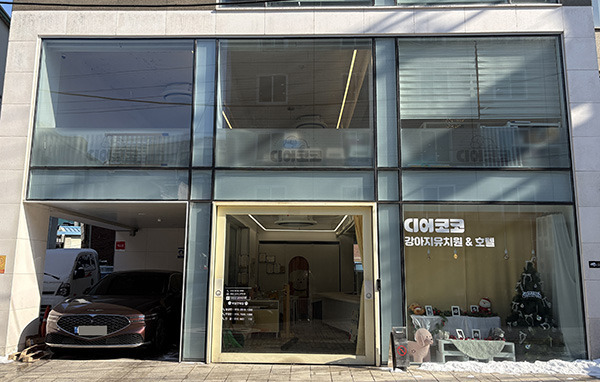 디어 대표 사진