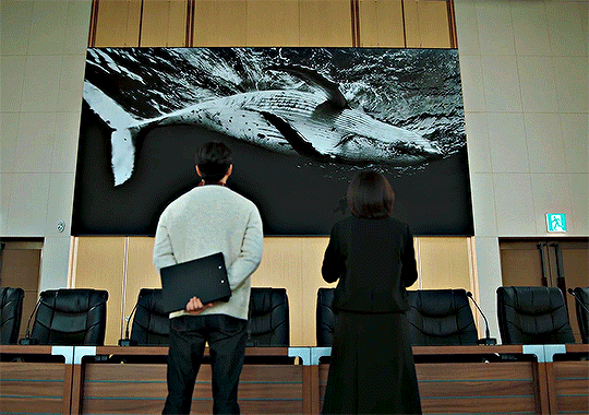 우영우 드라마 속 동화같은 연출장면들 | 인스티즈