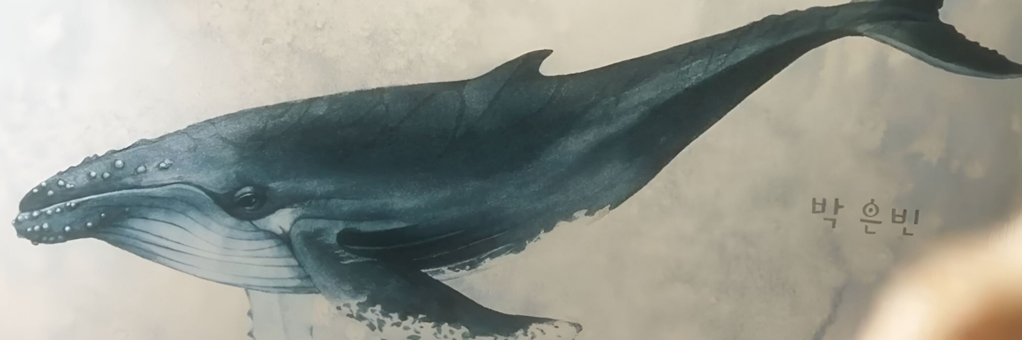 우영우 드라마 속 동화같은 연출장면들 | 인스티즈