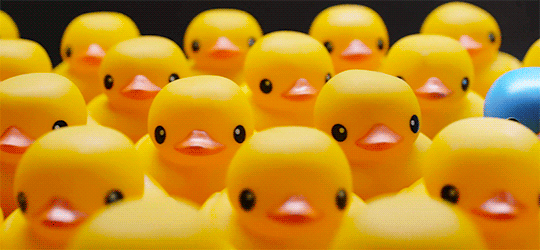 우영우 드라마 속 동화같은 연출장면들 | 인스티즈