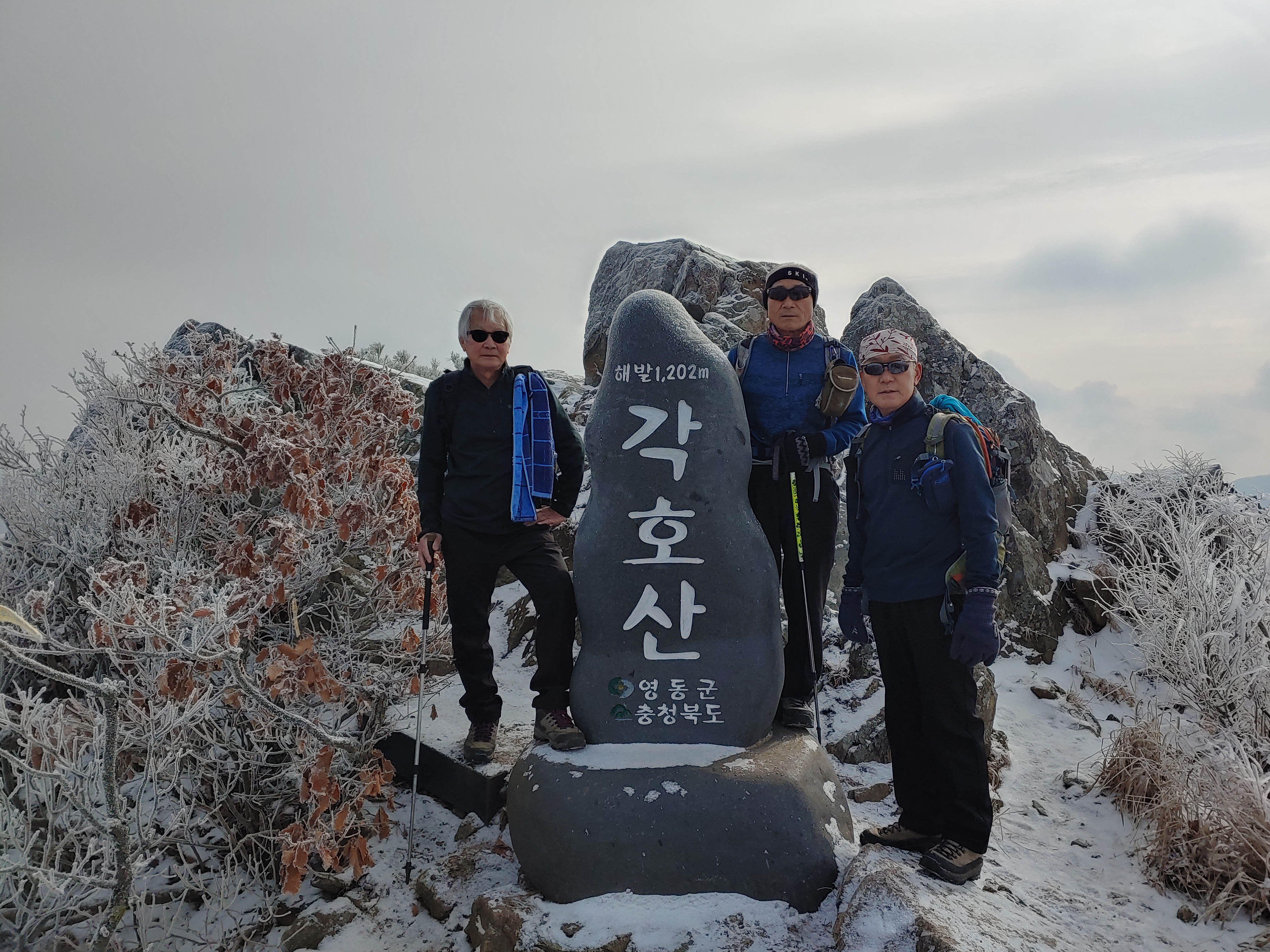 신고입고 이미지