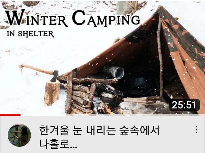 숲속의 팜핑