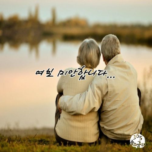 여보야 이미지