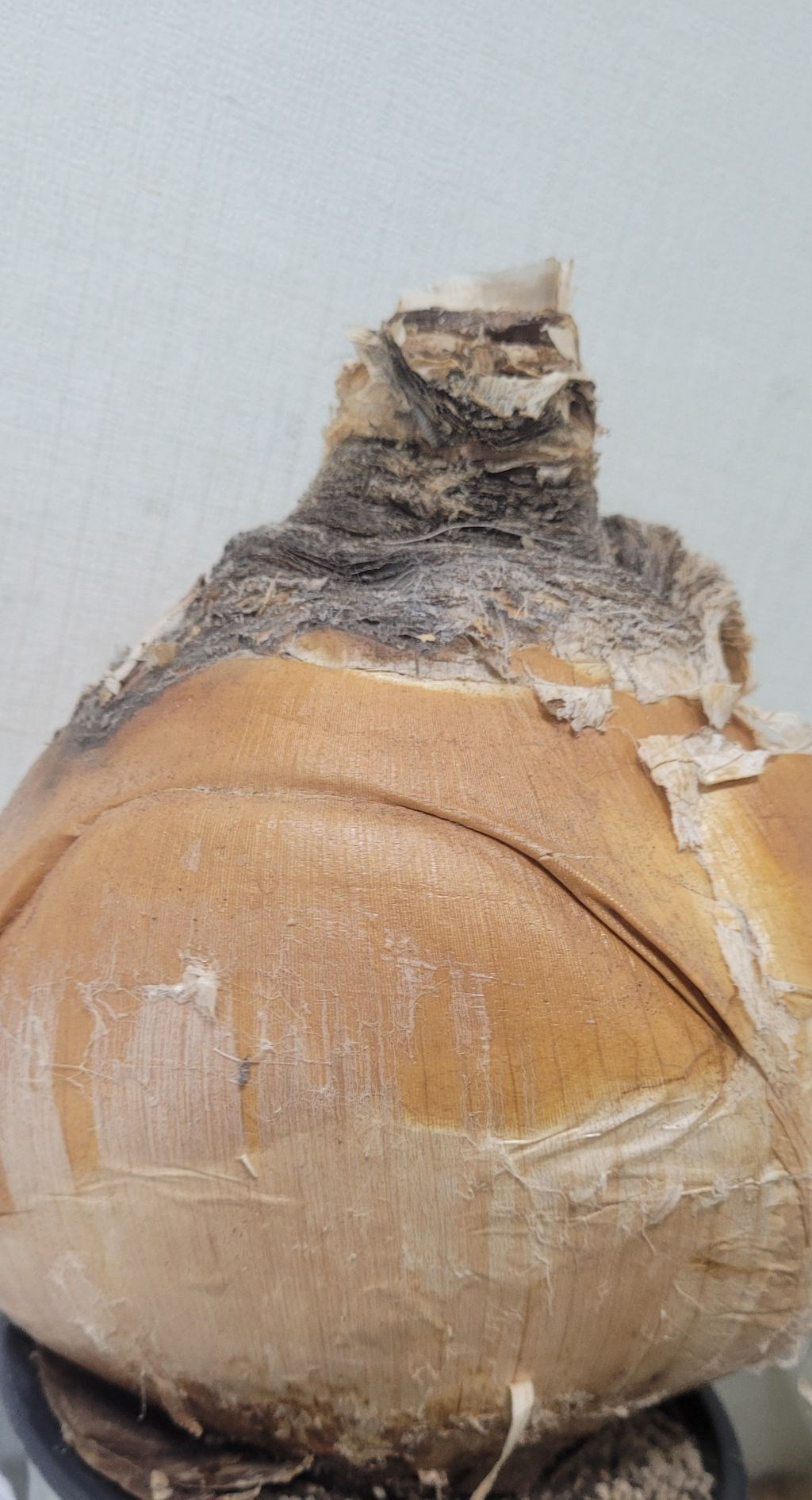 헤만 이미지