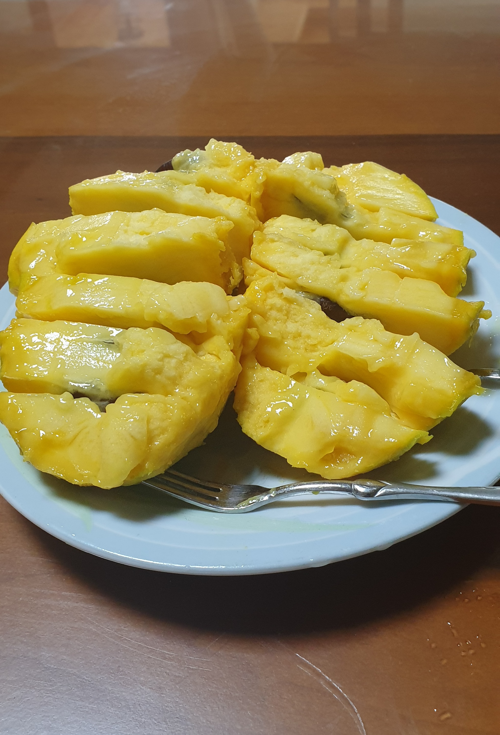 포포 이미지