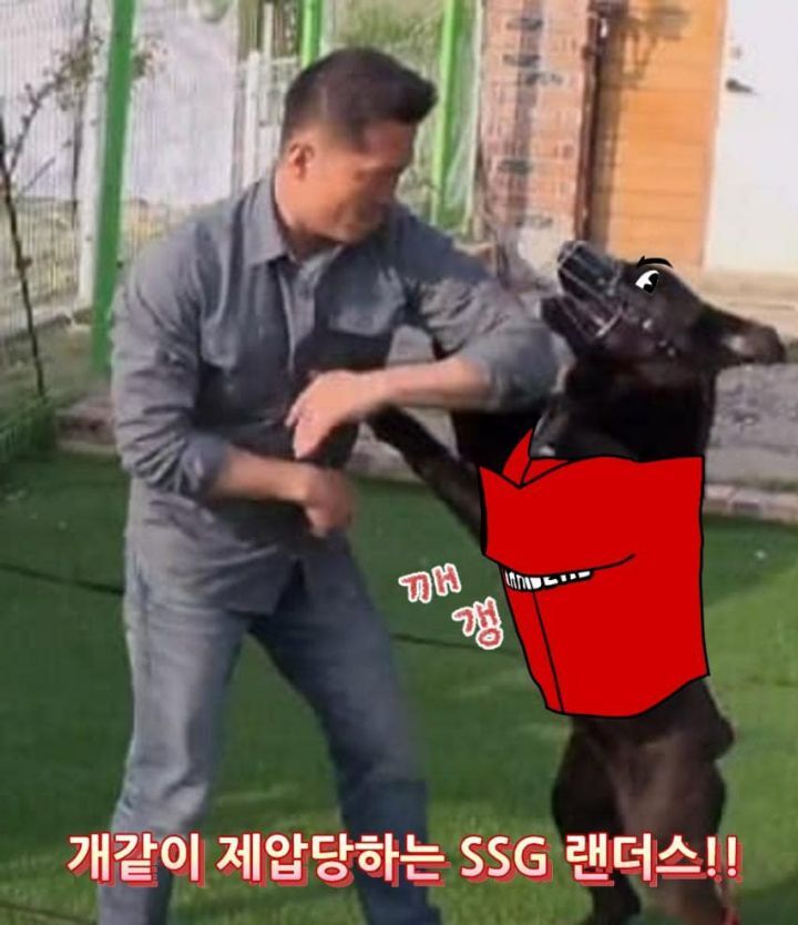 이김 이미지