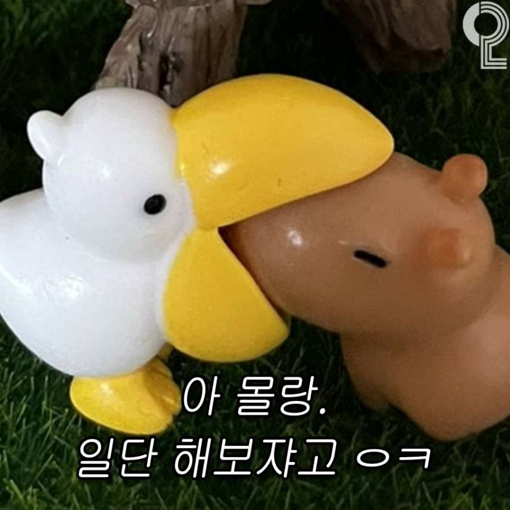 블랙티어 이미지
