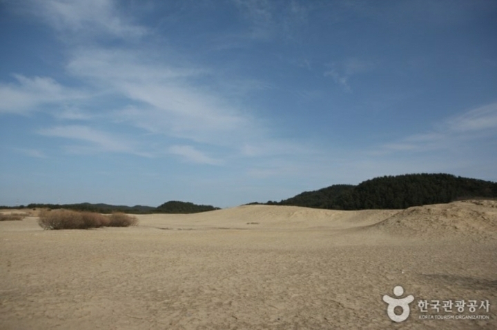 태안반도 이미지