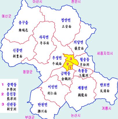 마늘꽃 이미지
