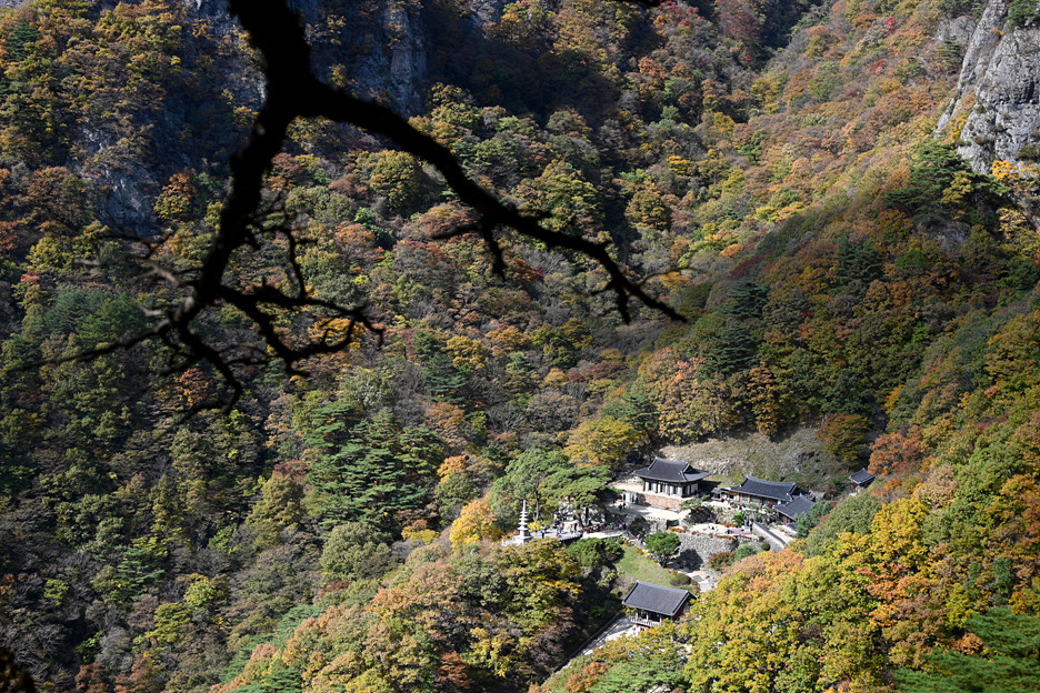 동봉 이미지