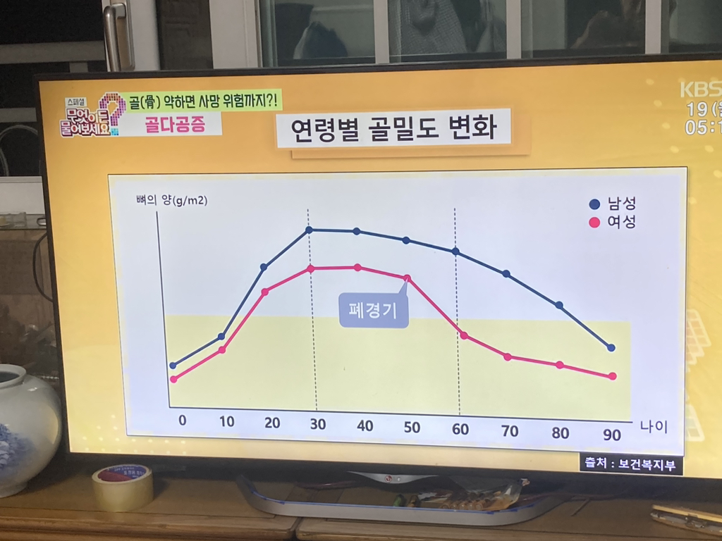 뼈대있는집 이미지