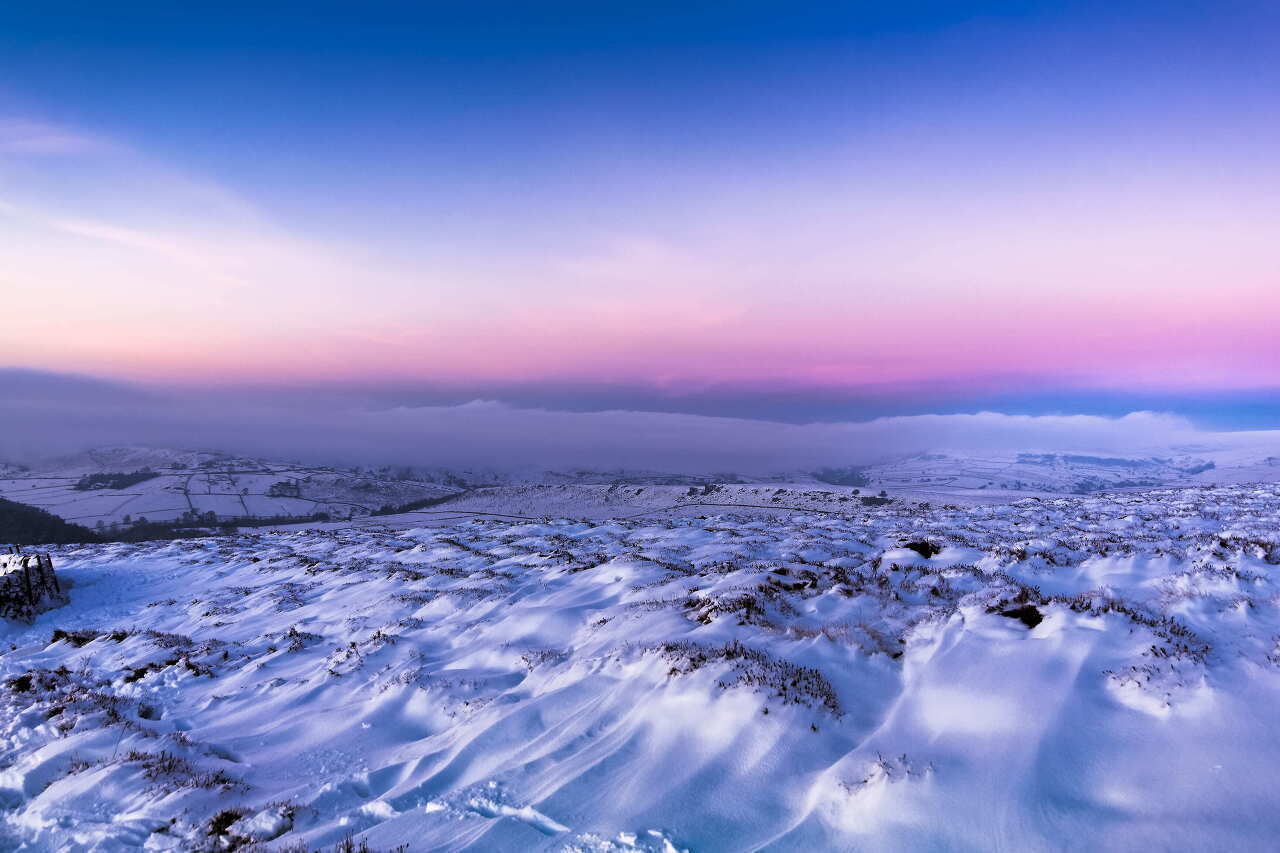 레지나 이미지