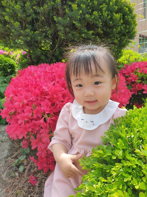 사랑해;꽃 이미지