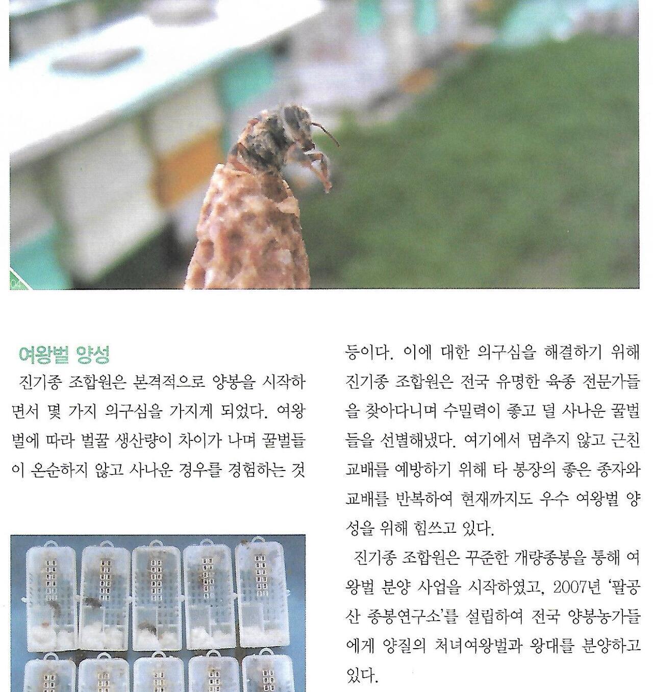 효선이네 이미지