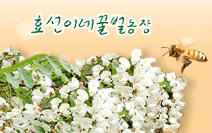 효선이네 이미지
