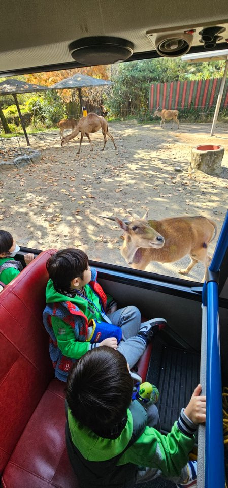 오월드1 이미지