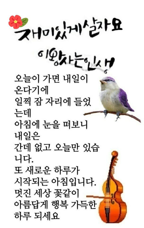삼지 이미지