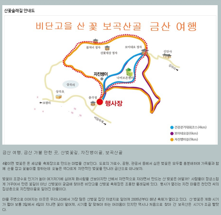 자진뱅이산벚꽃 이미지