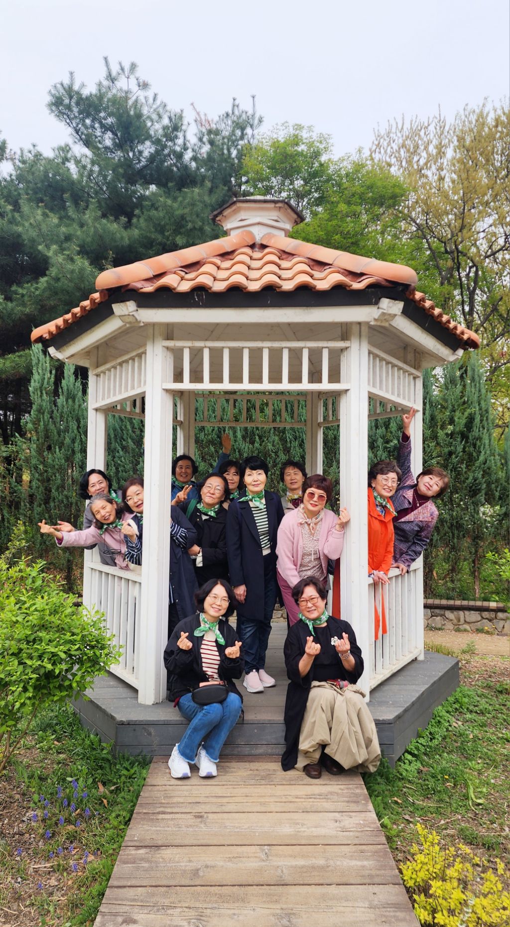 봄이화 이미지