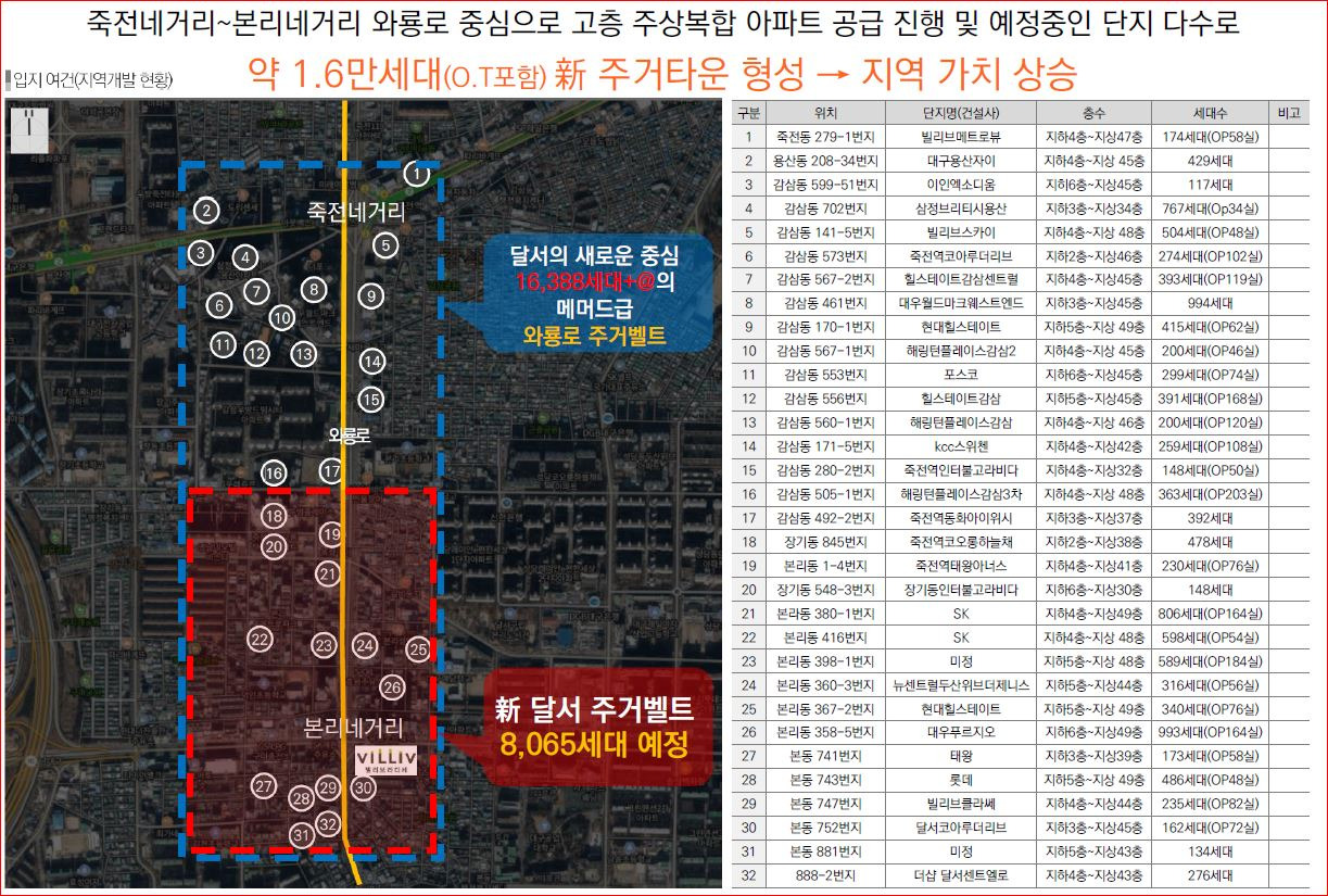 라디체 이미지
