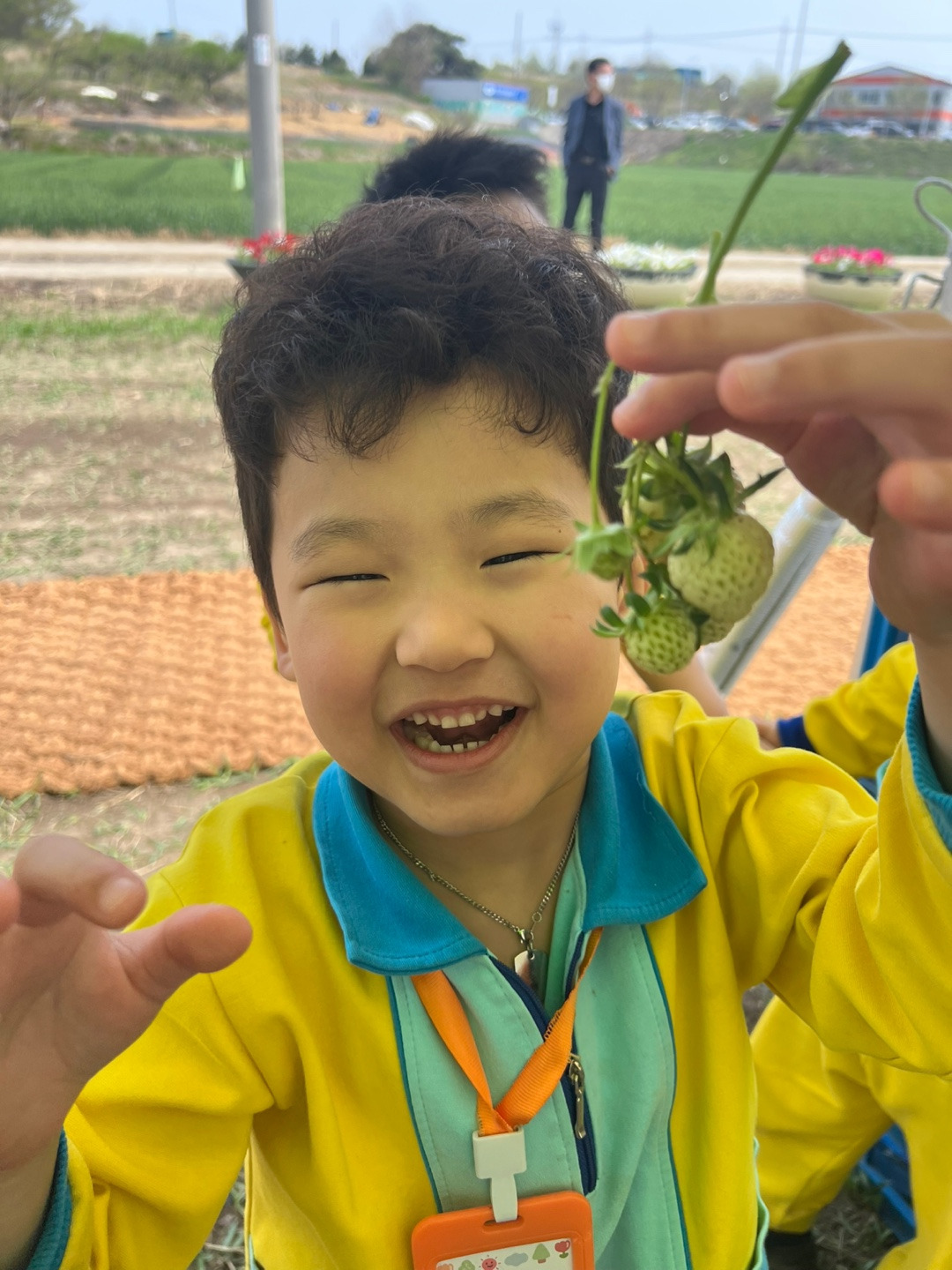 군산꽁보리 이미지