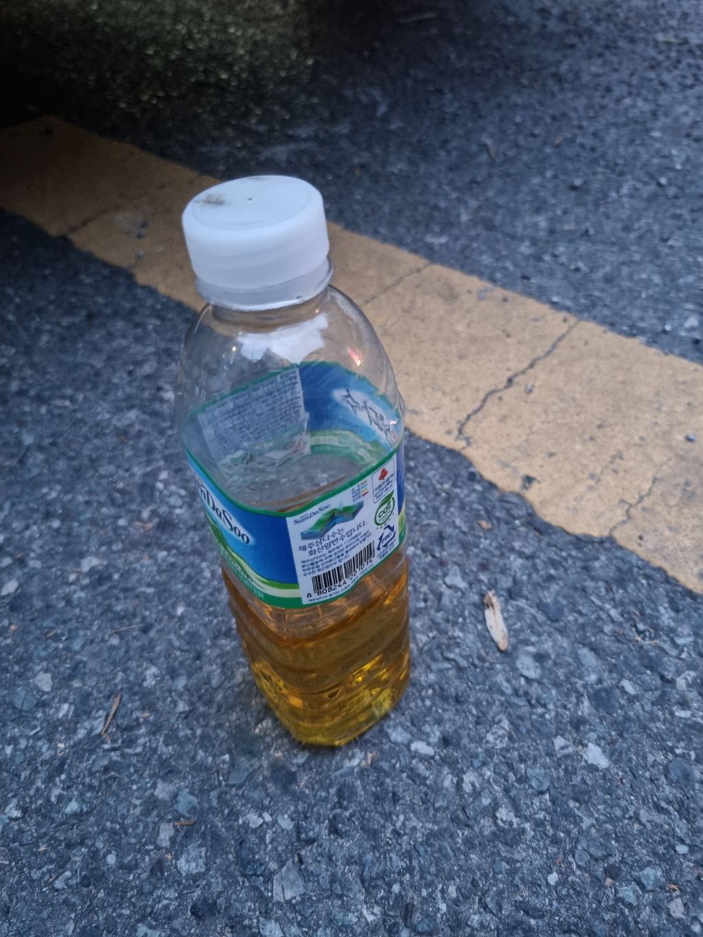 네바퀴카센타 이미지