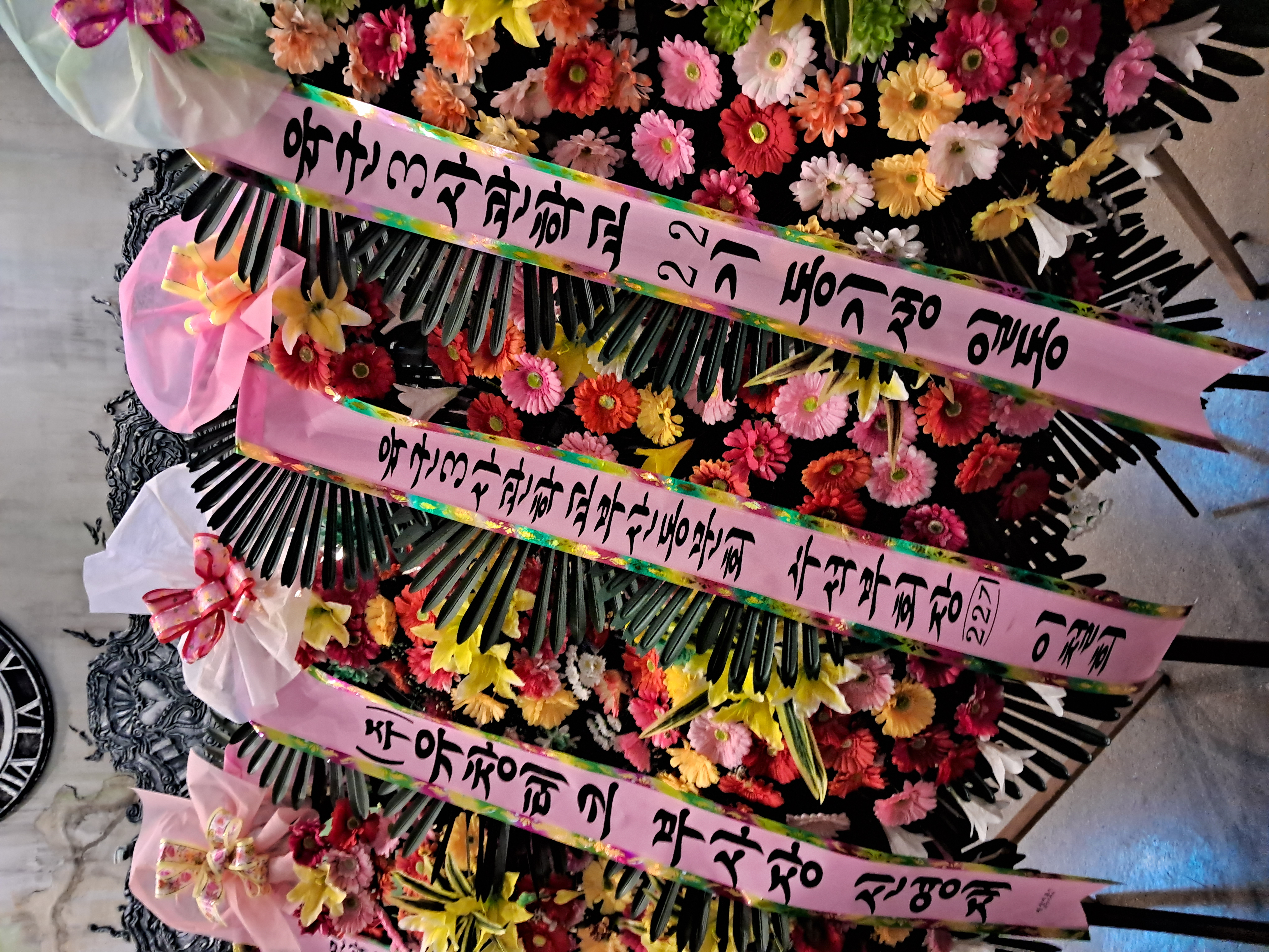 신대호 이미지