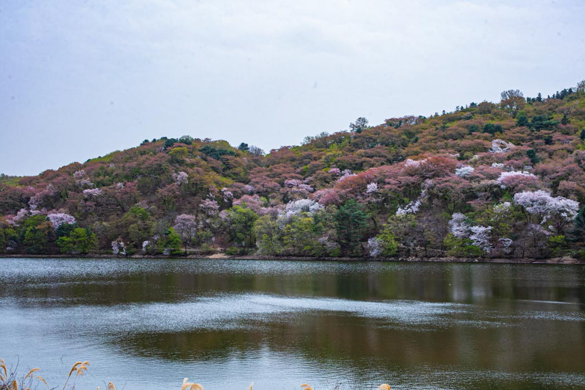 희원 호수 - ――······· 자연풍경 사진 - 너에게 편지를 희원 호수
