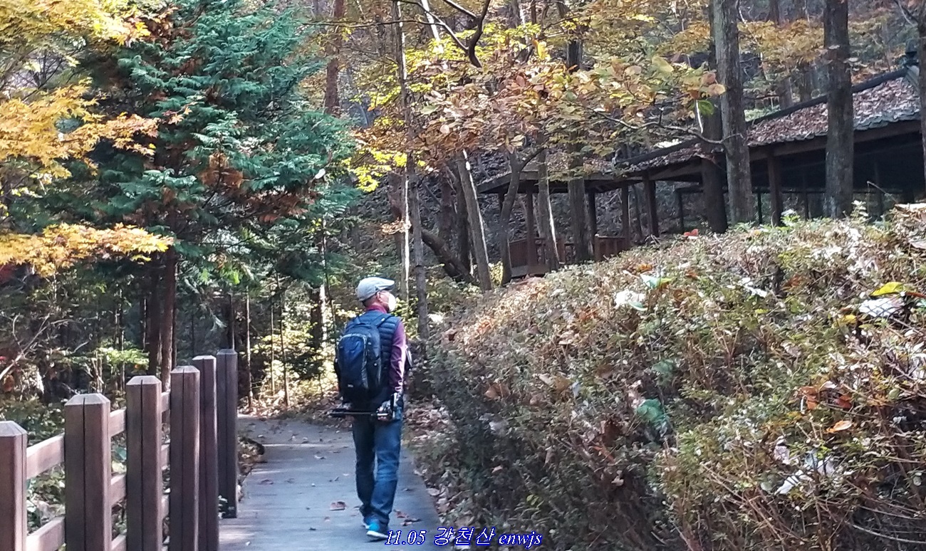 수연 이미지
