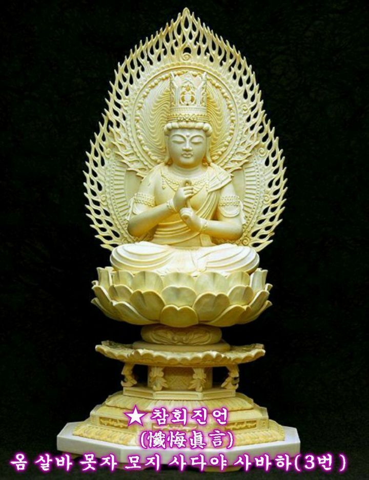 자이취 이미지