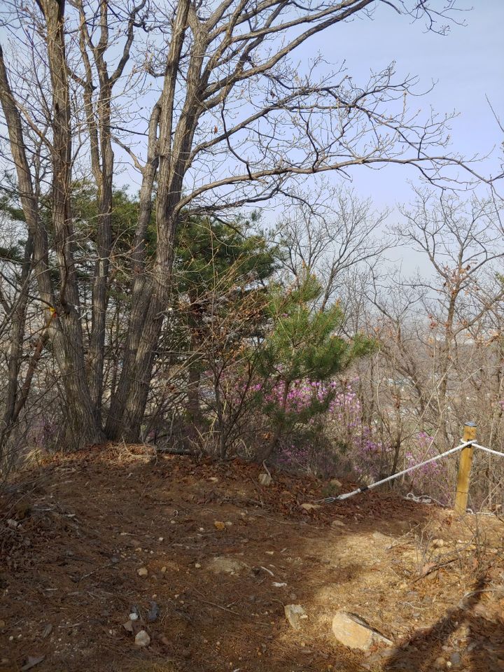 죽림산 정상 이미지