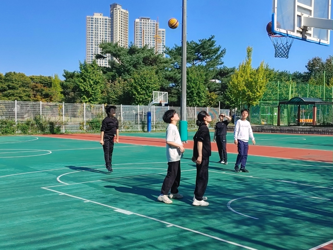 Daum 카페