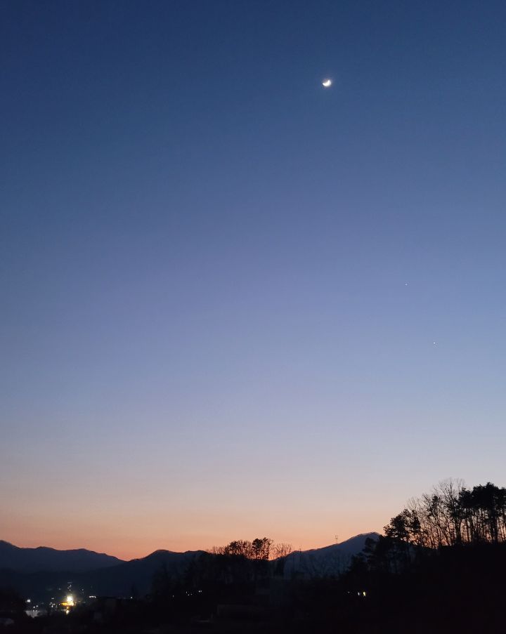 까시 이미지
