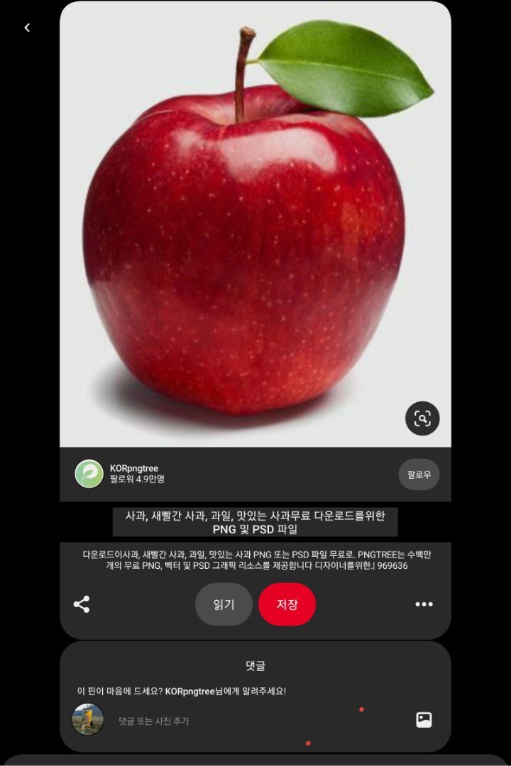 노랑사과 이미지